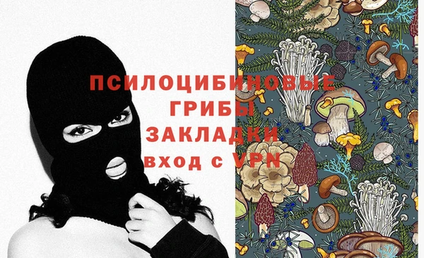 соль курить ск Бородино