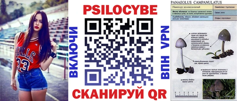 Псилоцибиновые грибы мицелий  Хабаровск 